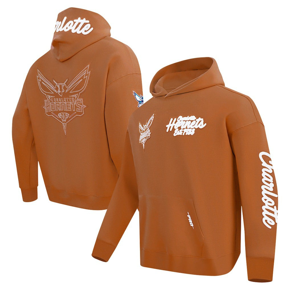 Charlotte Hornets Pro Standard Paint the City Drop Shoulder Pullover Hoodie