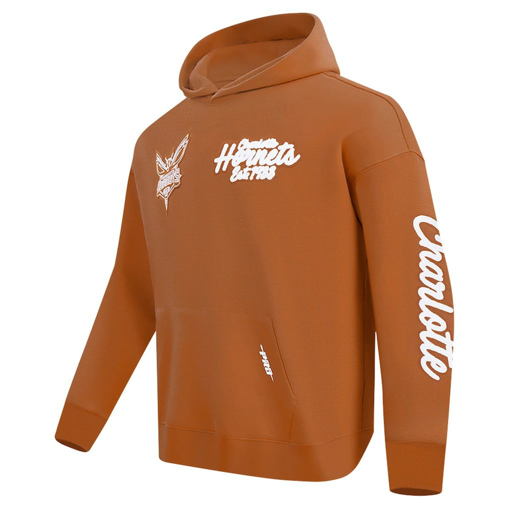 Charlotte Hornets Pro Standard Paint the City Drop Shoulder Pullover Hoodie