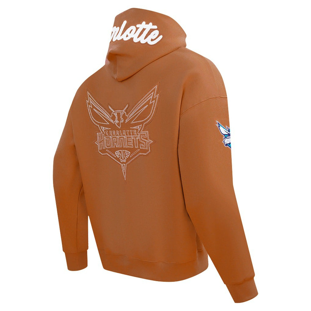 Charlotte Hornets Pro Standard Paint the City Drop Shoulder Pullover Hoodie