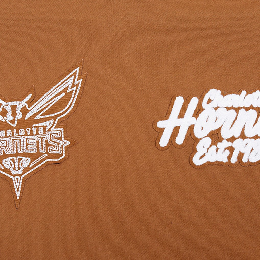 Charlotte Hornets Pro Standard Paint the City Drop Shoulder Pullover Hoodie