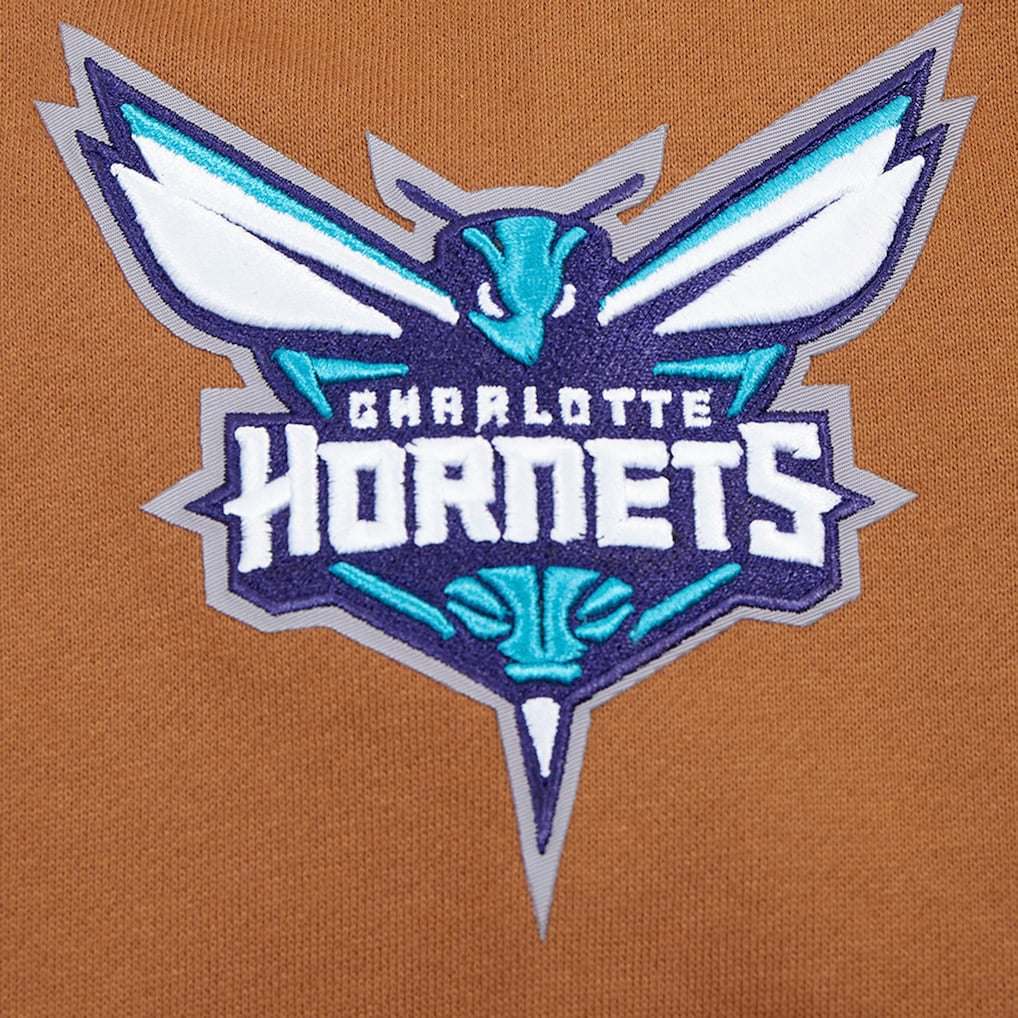 Charlotte Hornets Pro Standard Paint the City Drop Shoulder Pullover Hoodie