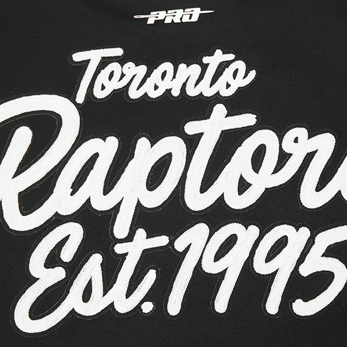 Toronto Raptors Pro Standard Paint the City Drop Shoulder Sweatshirt
