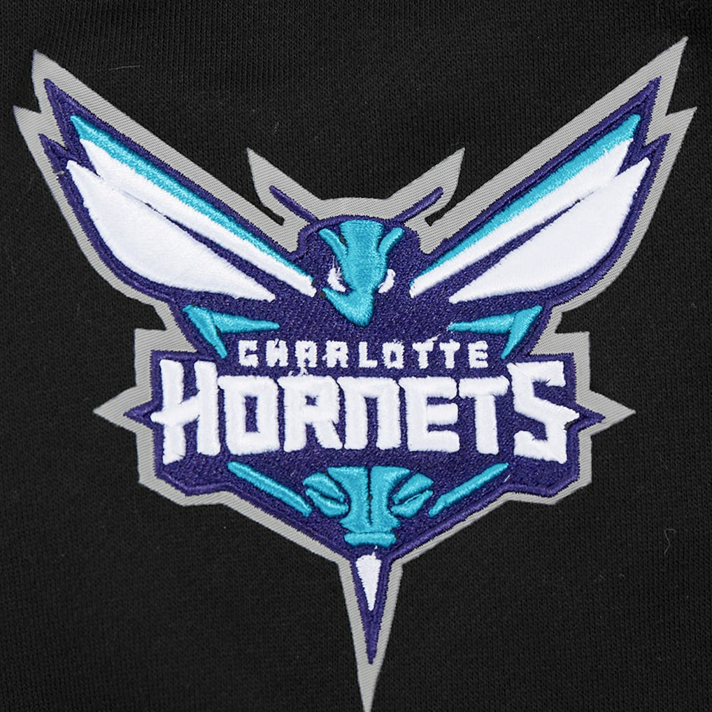Charlotte Hornets Pro Standard Paint the City Drop Shoulder Sweatshirt