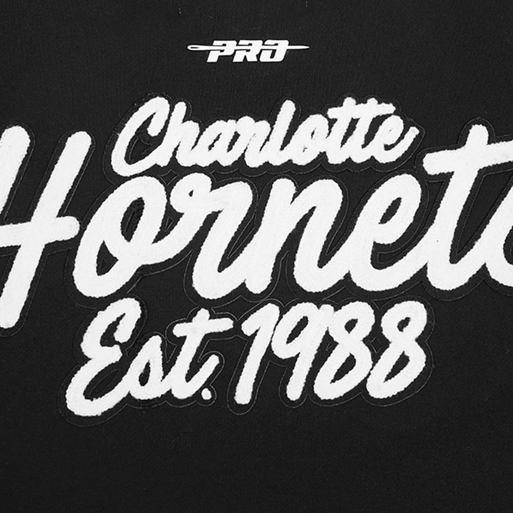 Charlotte Hornets Pro Standard Paint the City Drop Shoulder Sweatshirt