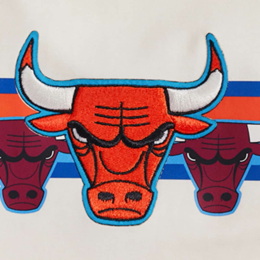 Chicago Bulls Pro Standard Women's Retro Striper SJ Cropped Boxy T-Shirt sale