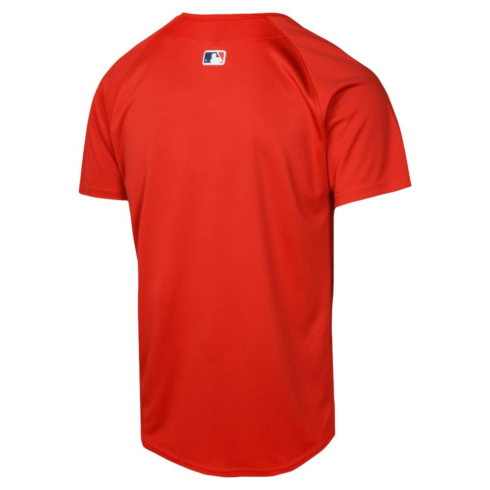 Red Boston Red Sox Nike Youth Alternate Limited Jersey