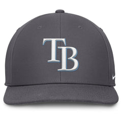 Gray Tampa Bay Rays Nike Pro Performance Snapback Hat