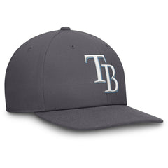 Gray Tampa Bay Rays Nike Pro Performance Snapback Hat