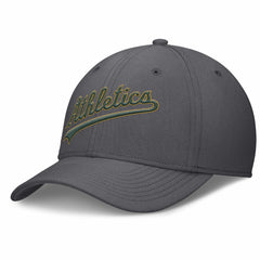 Gray Athletics Nike Swoosh Performance Flex Hat