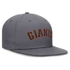 Gray San Francisco Giants Nike Performance True Fitted Hat