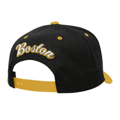 NHL Boston Bruins Mitchell & Ness Backside Script 2-Tone Pro Crown Adjustable Hat