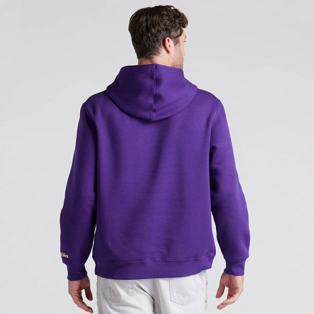 Pylon Cam Legacy Pullover Hoodie - Baltimore Ravens Hoodies