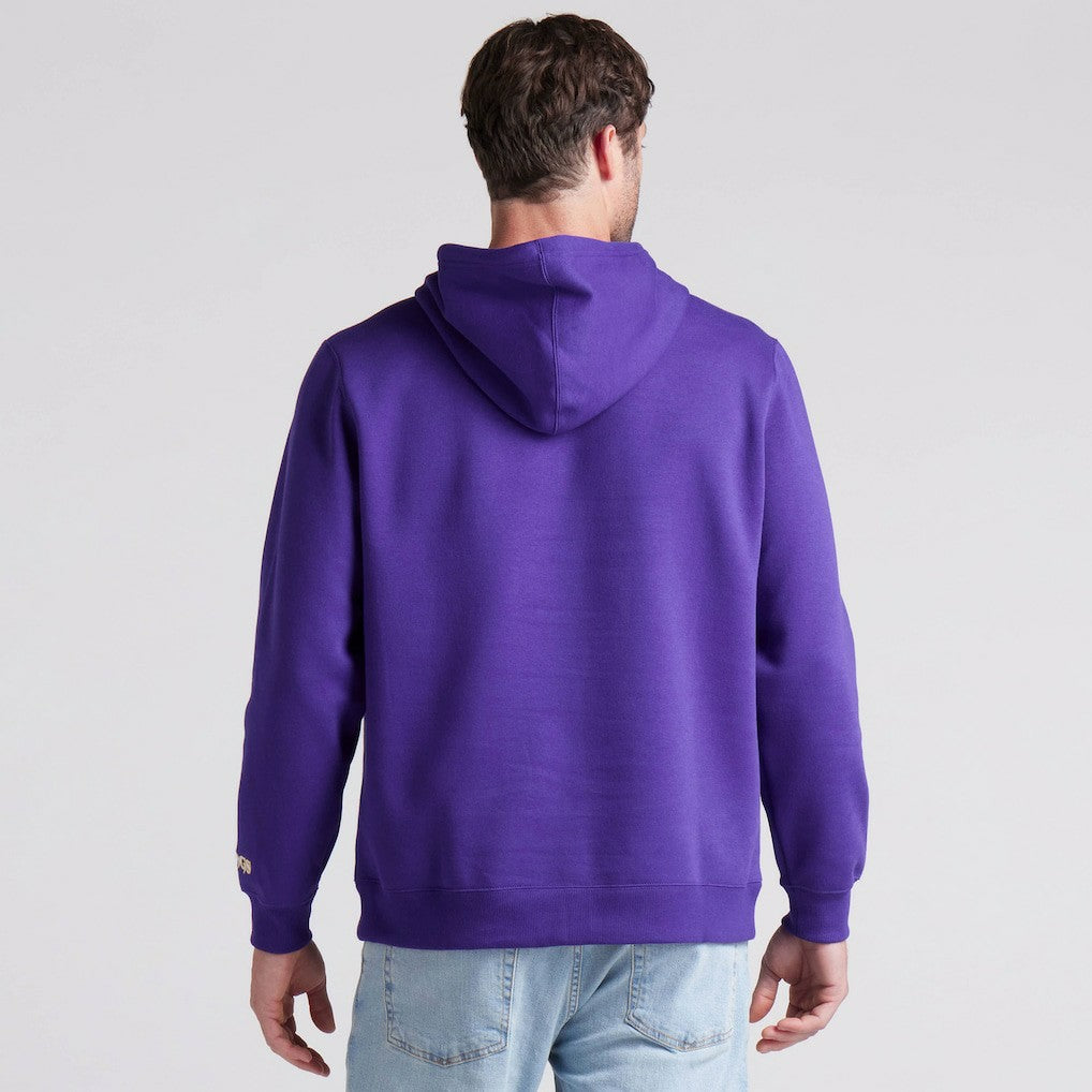 Pylon Cam Legacy Pullover Hoodie - Minnesota Vikings Hoodies