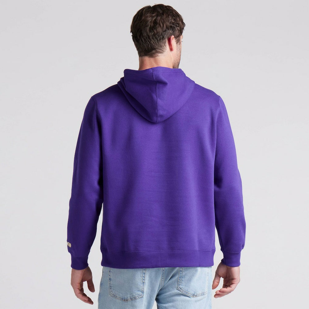 Pylon Cam Legacy Pullover Hoodie - Minnesota Vikings Hoodies