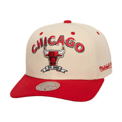 Mitchell & Ness Chicago Bulls 6x NBA Champions Soul Legacy Defined Snapback Hat