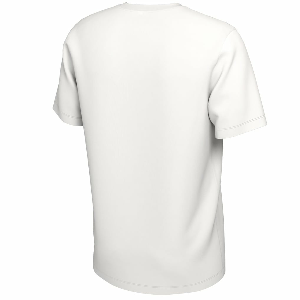 Nike Boston Celtics 2024 NBA Finals Champions Big & Tall Parade T-Shirt