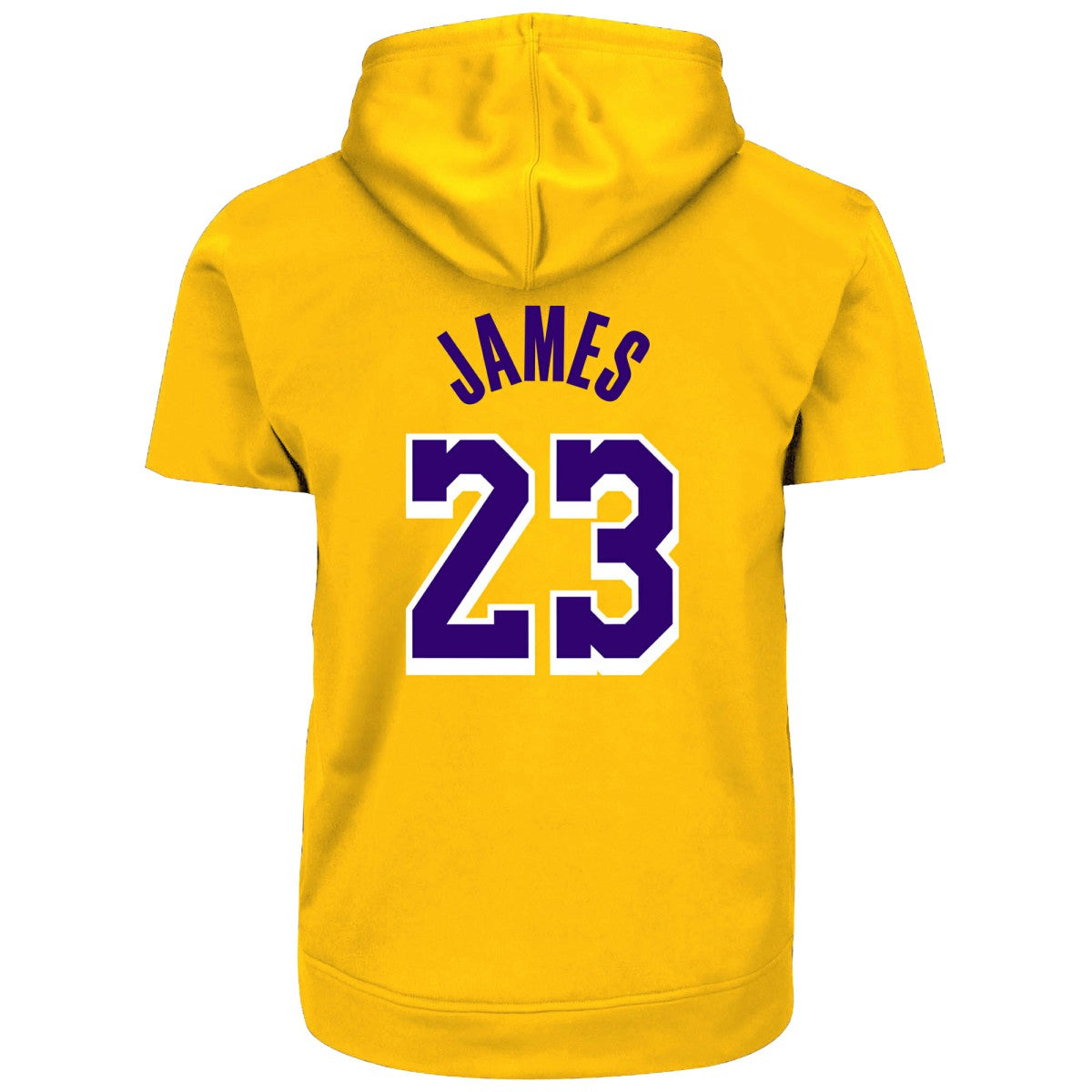 Fanatics LeBron James Los Angeles Lakers Big & Tall Short Sleeve Hoodie