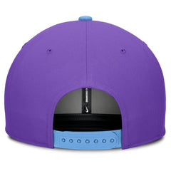 Purple/Light Blue Colorado Rockies Nike 2025 City Connect Pro Performance Snapback Hat