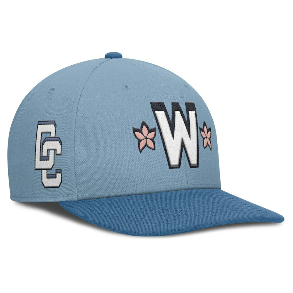 Light Blue/Blue Washington Nationals Nike 2025 City Connect Pro Performance Snapback Hat