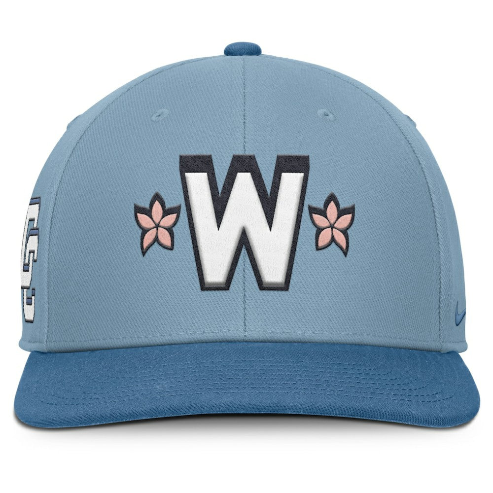 Light Blue/Blue Washington Nationals Nike 2025 City Connect Pro Performance Snapback Hat