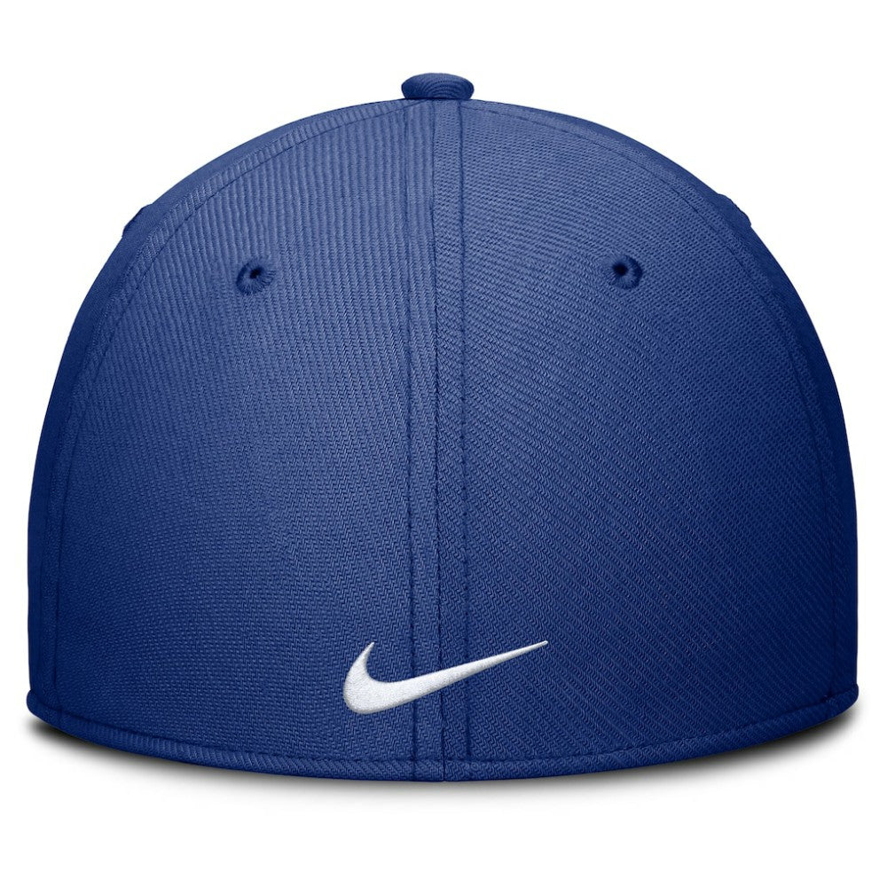 Royal Texas Rangers Nike Rise Performance Flex Hat