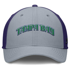 Gray/Purple Tampa Bay Rays Nike Rise Swoosh Performance Flex Hat