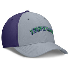 Gray/Purple Tampa Bay Rays Nike Rise Swoosh Performance Flex Hat