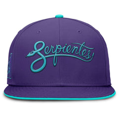 Purple Arizona Diamondbacks Nike 2025 City Connect True Performance Fitted Hat