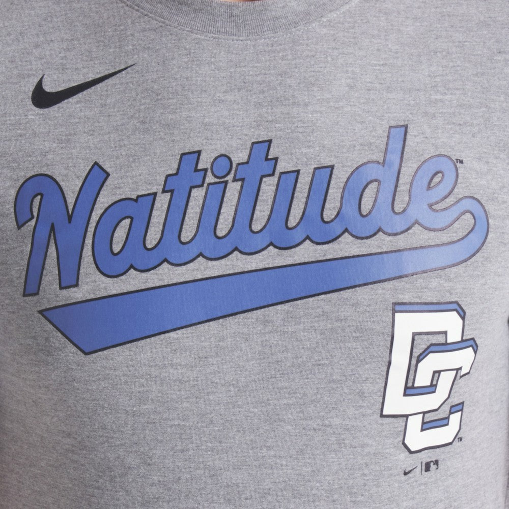 Heather Charcoal Washington Nationals Nike City Connect Script Tri-Blend T-Shirt
