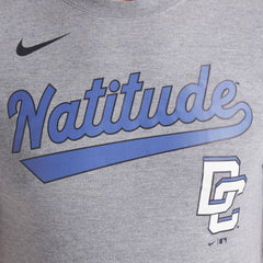 Heather Charcoal Washington Nationals Nike City Connect Script Tri-Blend T-Shirt