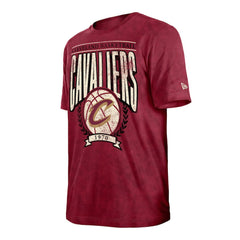 New Era Cleveland Cavaliers Throwback Vintage Boxy Mineral Wash T-Shirt sale