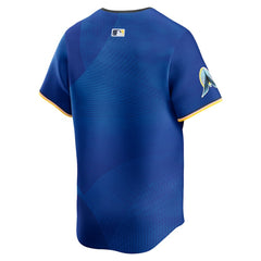 Royal Minnesota Twins Nike City Connect Limited Jersey