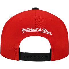 NHL Detroit Red Wings Mitchell & Ness Underarch Two-Tone Pro Crown Snapback Hat
