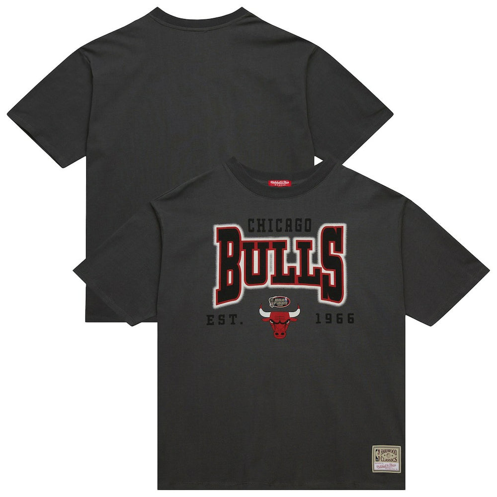Mitchell & Ness Chicago Bulls Women's Hardwood Classics Oversized Boyfriend T-Shirt sale