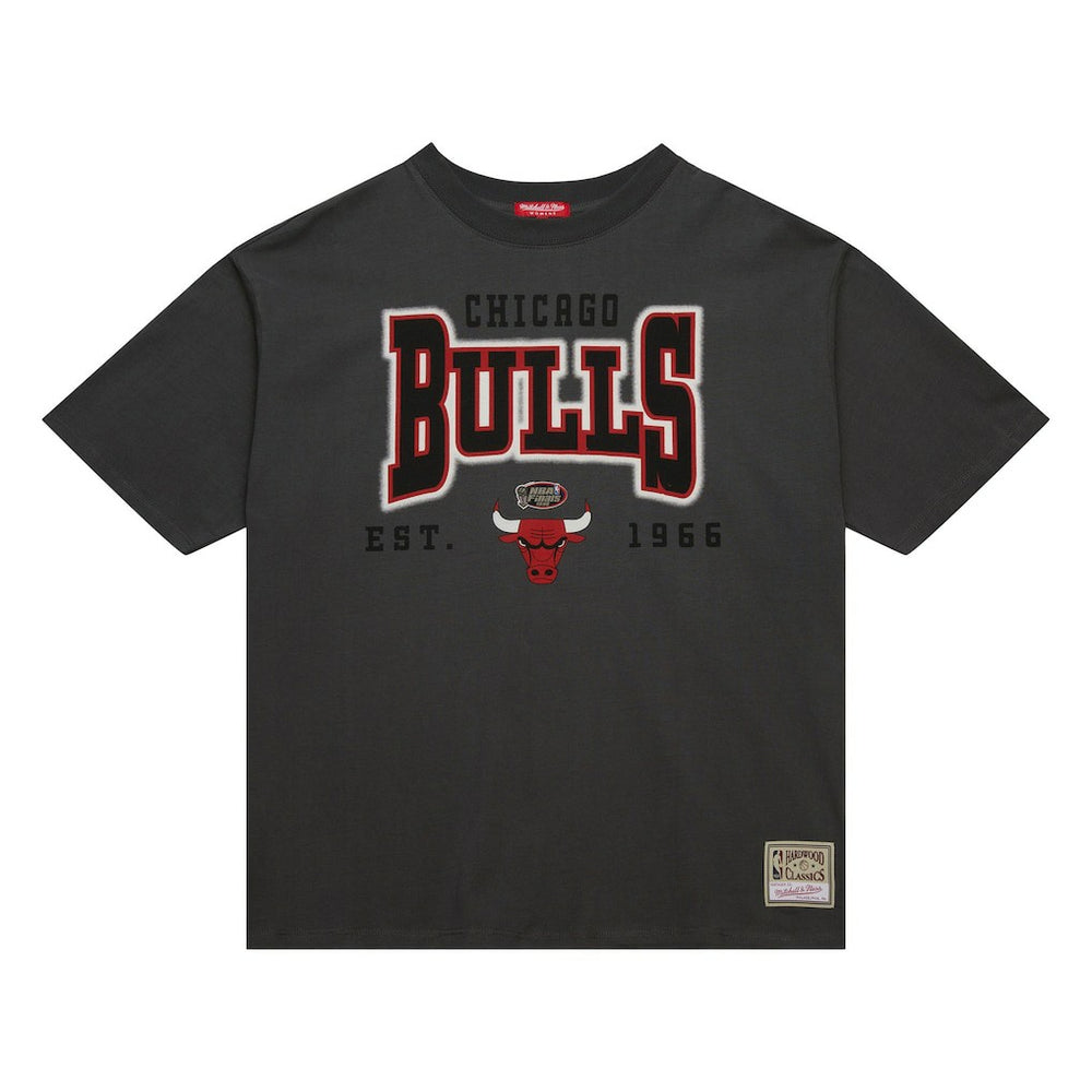 Mitchell & Ness Chicago Bulls Women's Hardwood Classics Oversized Boyfriend T-Shirt sale