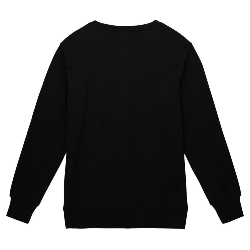 Basic Fleece Pullover Sweatshirt - Detroit Lions Pullover