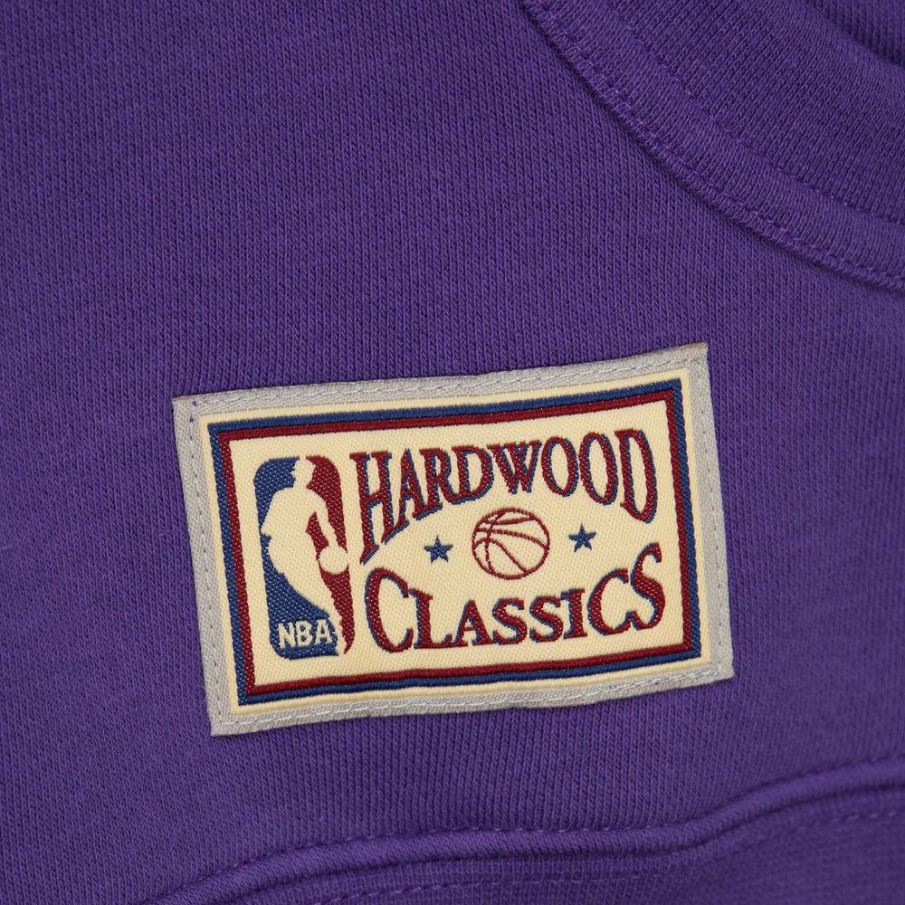 Mitchell & Ness Sacramento Kings Hardwood Classics Nights Head Coach Pullover Hoodie