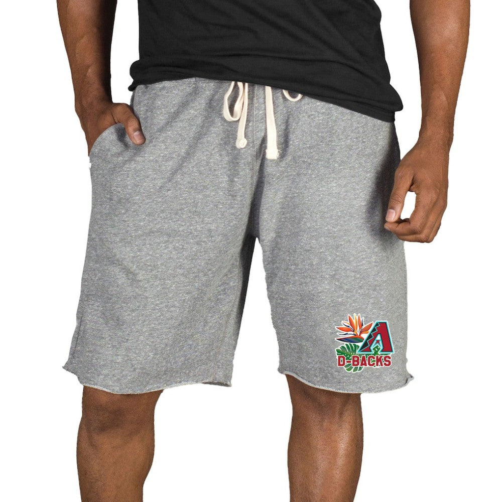 Gray Arizona Diamondbacks Concepts Sport Mainstream Tri-Blend Shorts