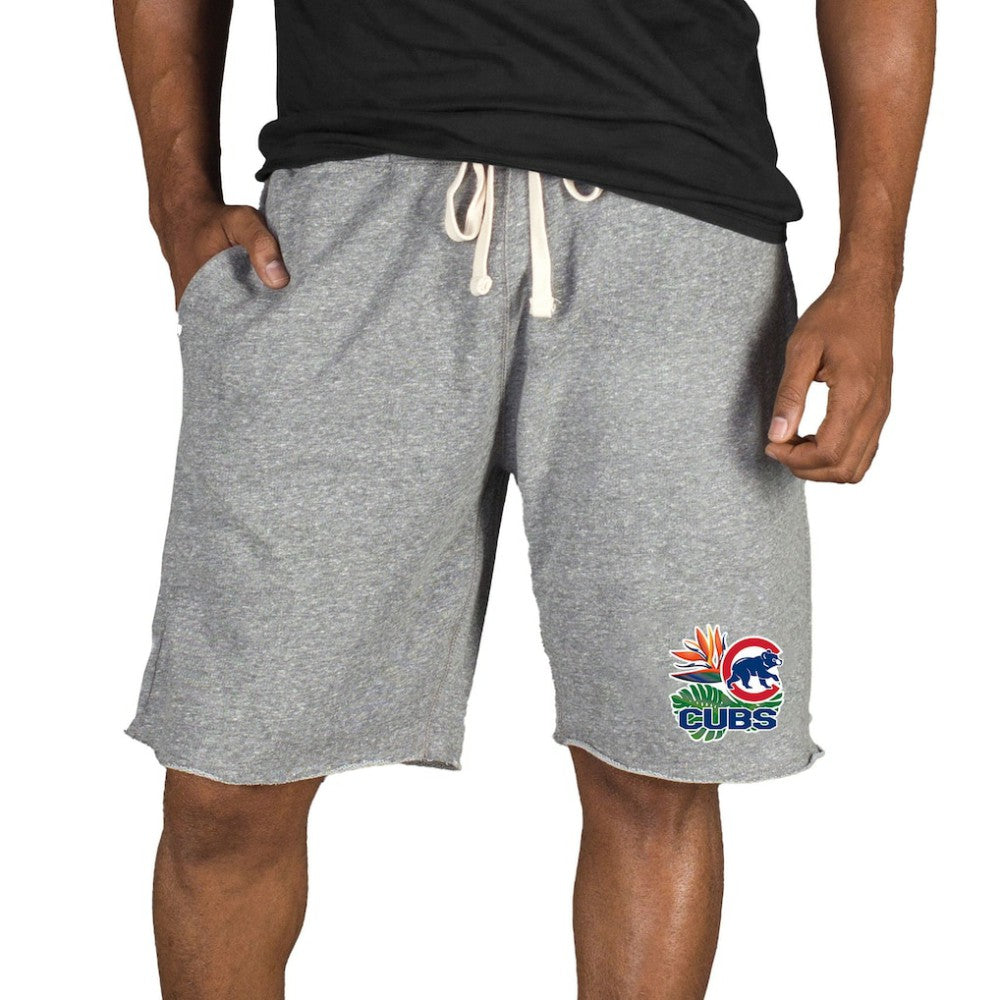 Gray Chicago Cubs Concepts Sport Mainstream Tri-Blend Shorts