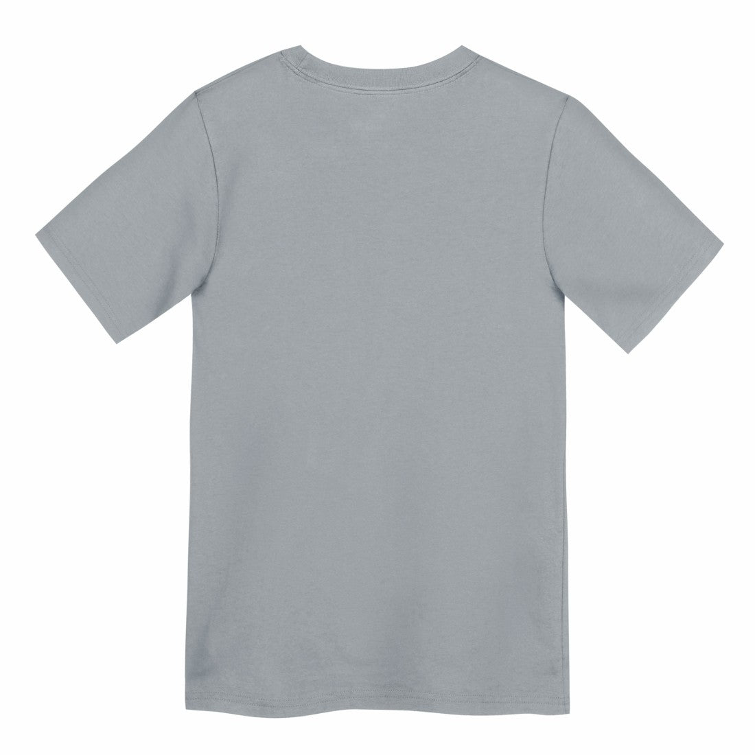 Preschool Icon Legend Dri-FIT T-Shirt - Detroit Lions T-shirts