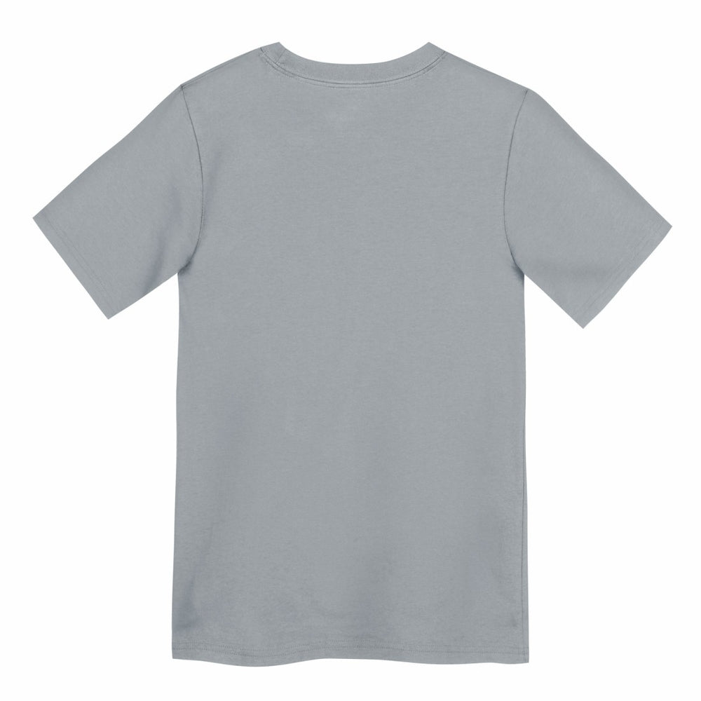 Preschool Icon Legend Dri-FIT T-Shirt - Detroit Lions T-shirts