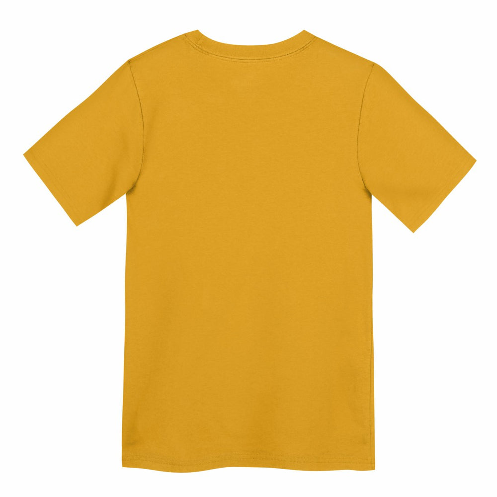 Preschool Icon Legend Dri-FIT T-Shirt - Green Bay Packers T-shirts