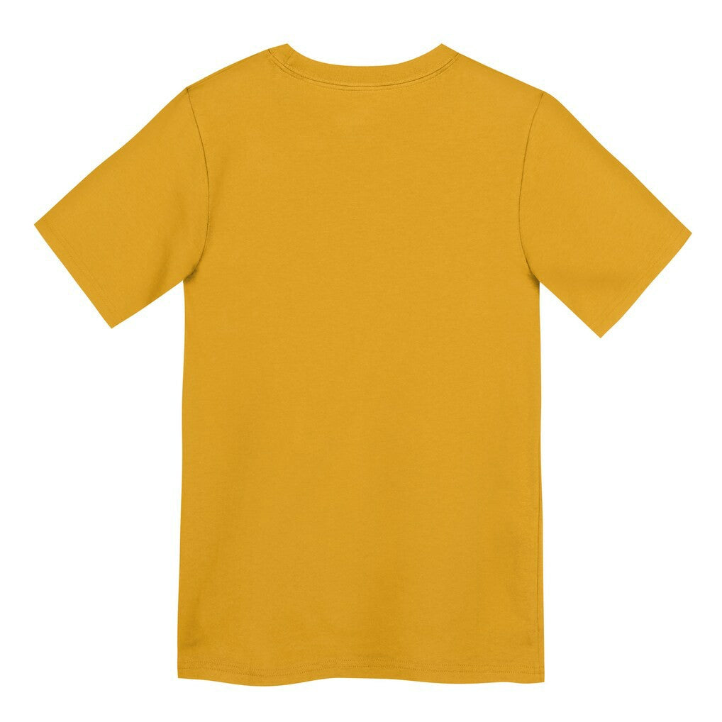 Preschool Icon Legend Dri-FIT T-Shirt - Pittsburgh Steelers T-shirts
