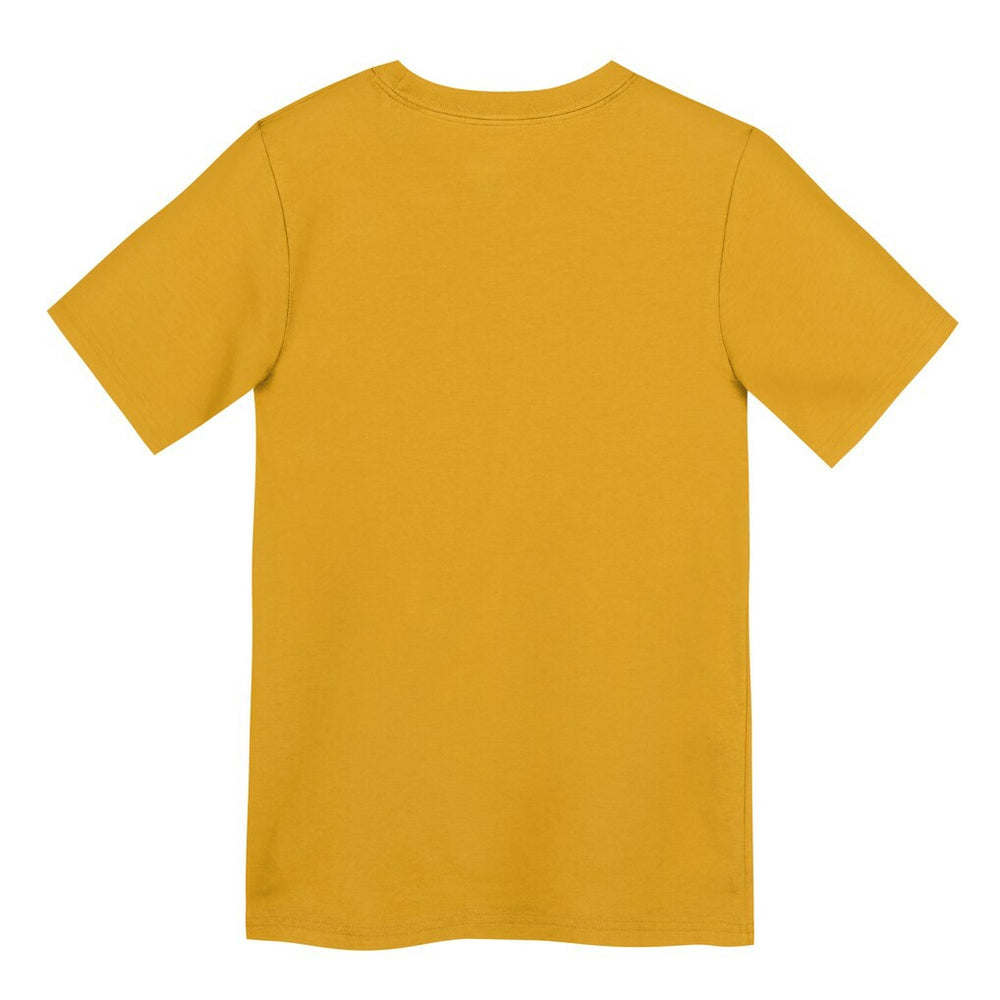 Preschool Icon Legend Dri-FIT T-Shirt - Pittsburgh Steelers T-shirts