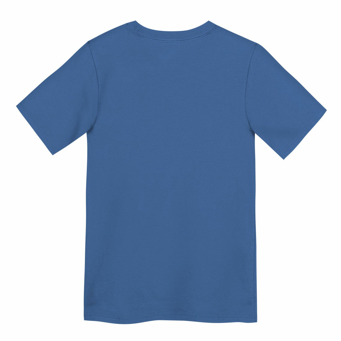 Preschool Primary Logo Legend Performance T-Shirt - Detroit Lions T-shirts