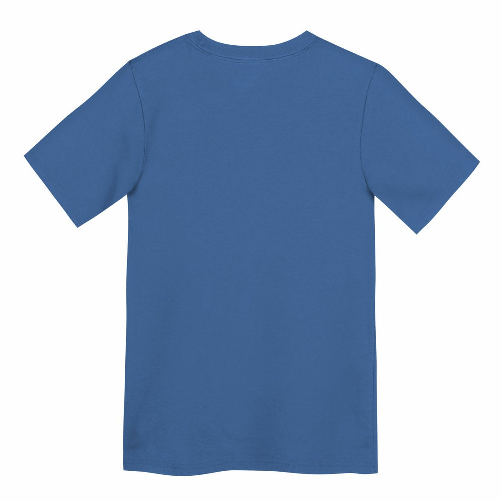 Preschool Primary Logo Legend Performance T-Shirt - Detroit Lions T-shirts