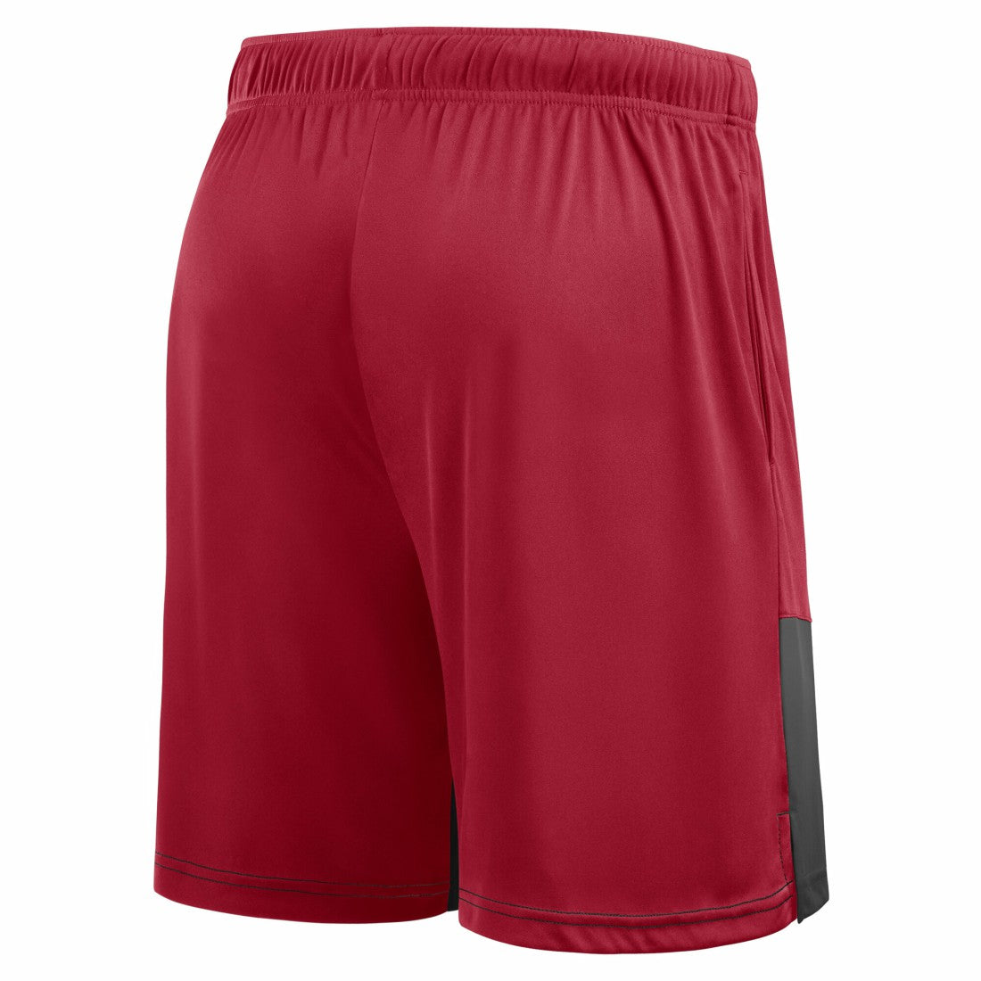 Big & Tall Best of the Best Performance Shorts - Tampa Bay Buccaneers Shorts