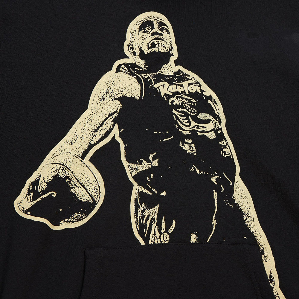 Vince Carter Toronto Raptors NBA Hall of Fame 2024 Fleece Pullover Hoodie