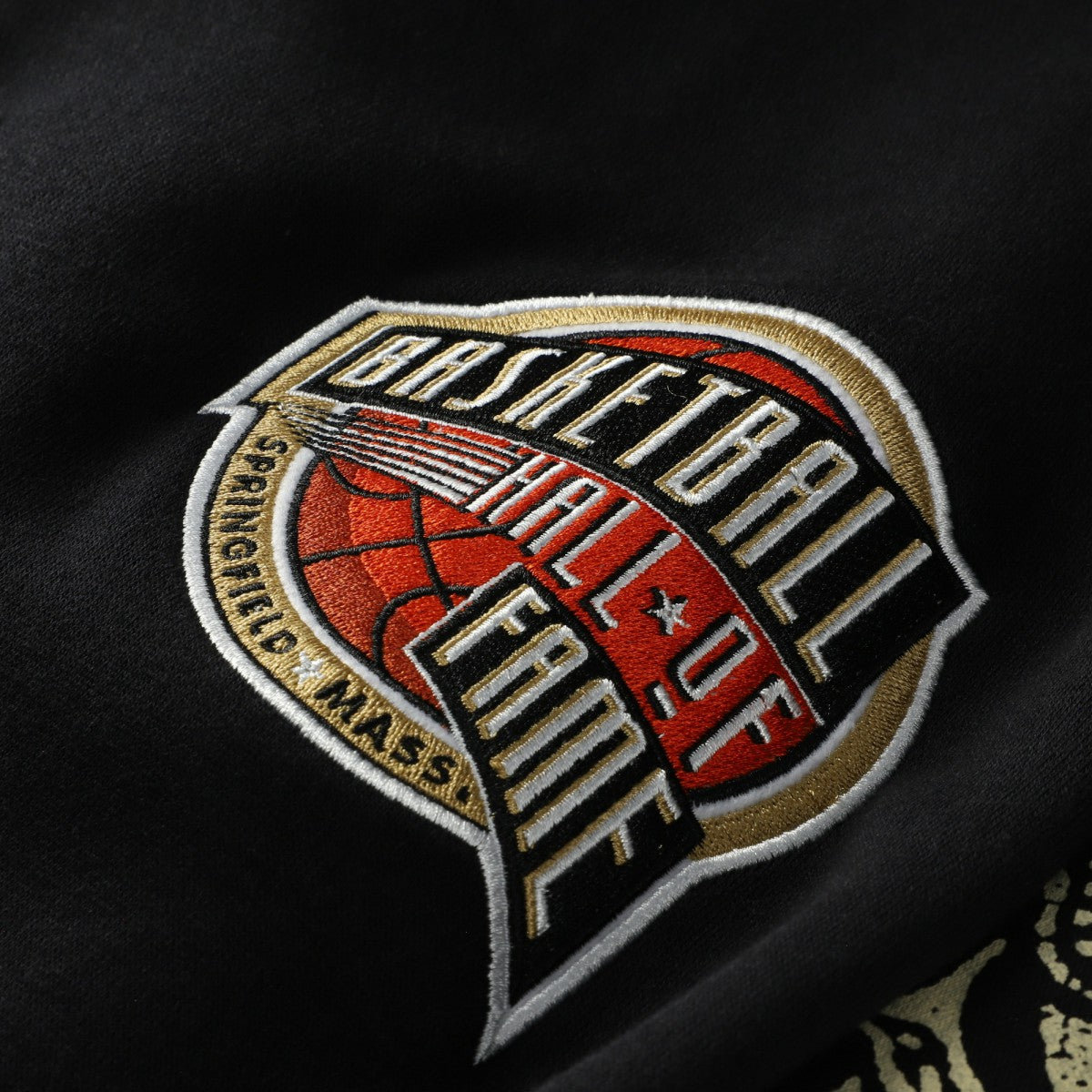 Vince Carter Toronto Raptors NBA Hall of Fame 2024 Fleece Pullover Hoodie