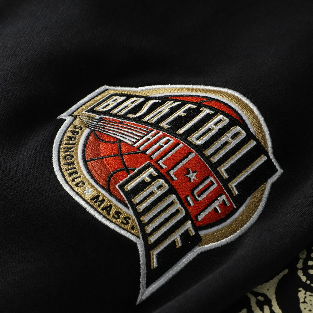 Vince Carter Toronto Raptors NBA Hall of Fame 2024 Fleece Pullover Hoodie